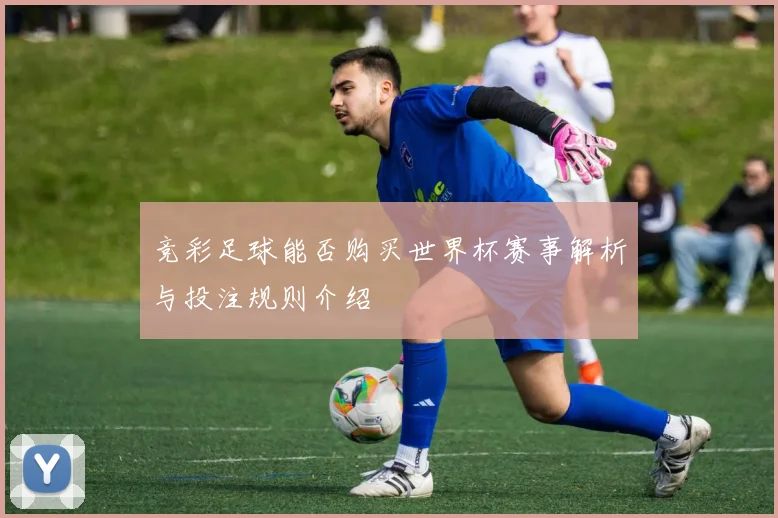 竞彩足球能否购买世界杯赛事解析与投注规则介绍