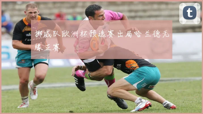 挪威队欧洲杯预选赛出局哈兰德无缘正赛