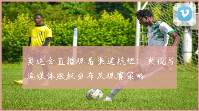 奥运会直播观看渠道梳理：央视与流媒体版权分布及观赛策略