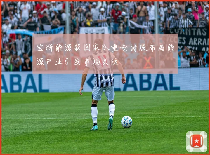 宝新能源获国家队重仓持股布局能源产业引发市场关注