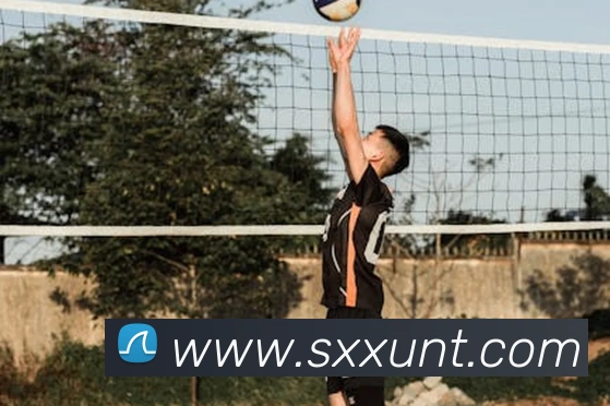 必一运动b官网服务体系