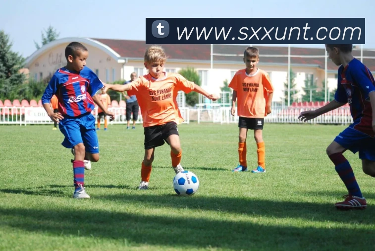 必一运动b官网APP 体育赛事宣传图